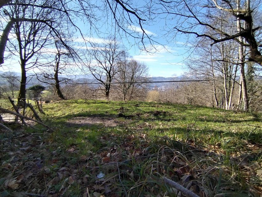 thumbnail img 20240306 114145