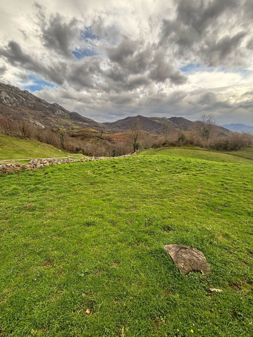 f2fce250 1b08 489f 9154 d6e308854065