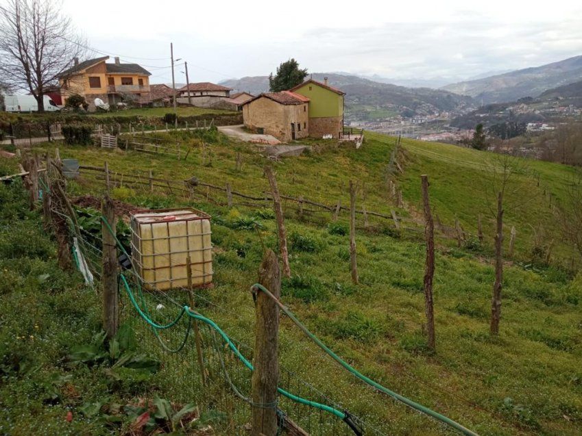 Finca edificable en Les Bories   Langreo