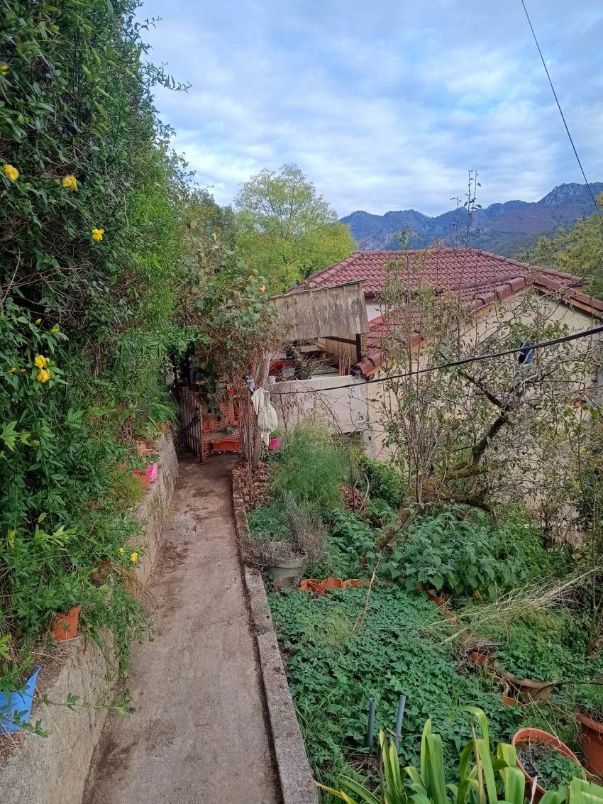 caad4809 803f 47f6 96f9 ac2d64a54fe7