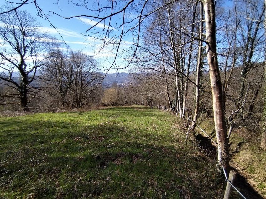 thumbnail img 20240306 114601