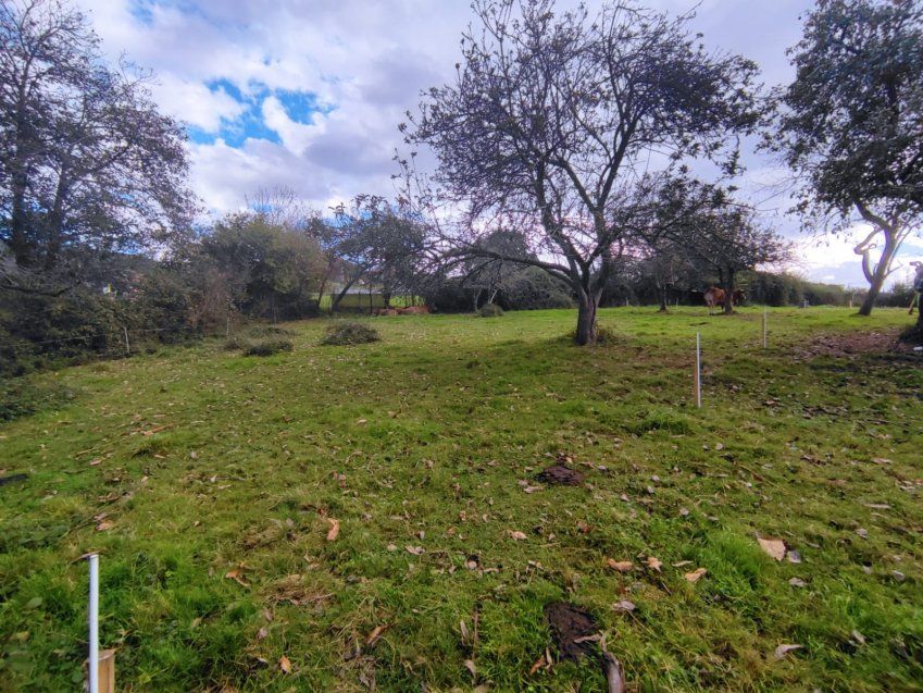 Finca edificable en Langreo   La Tabierna