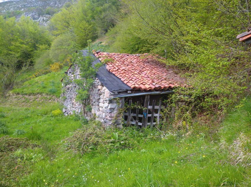 Gran terreno con cabaña y cuadra   Bezanes