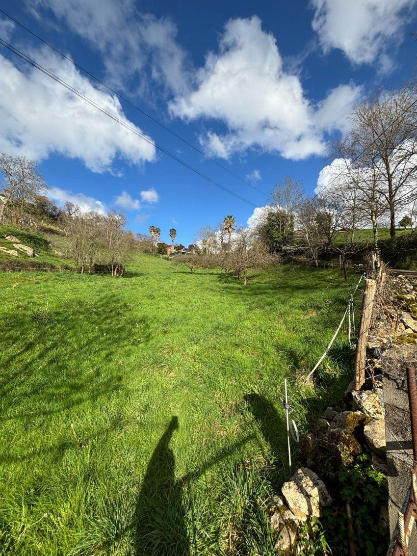 8c5789d9 6dbf 4ce3 9815 73a10b7d7846