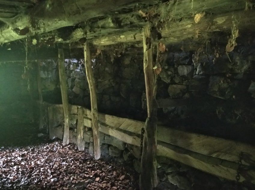 Gran terreno con cabaña y cuadra   Bezanes