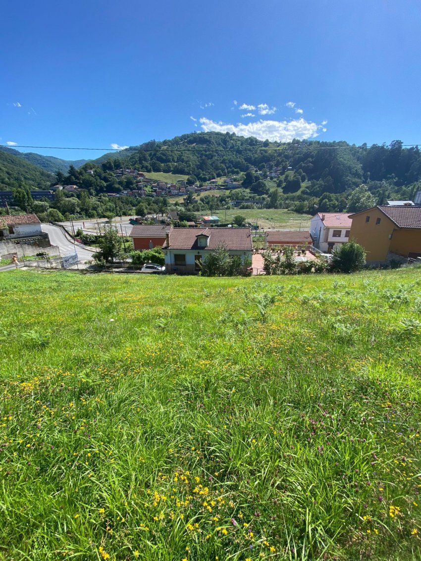 Finca edificable en El Entrego