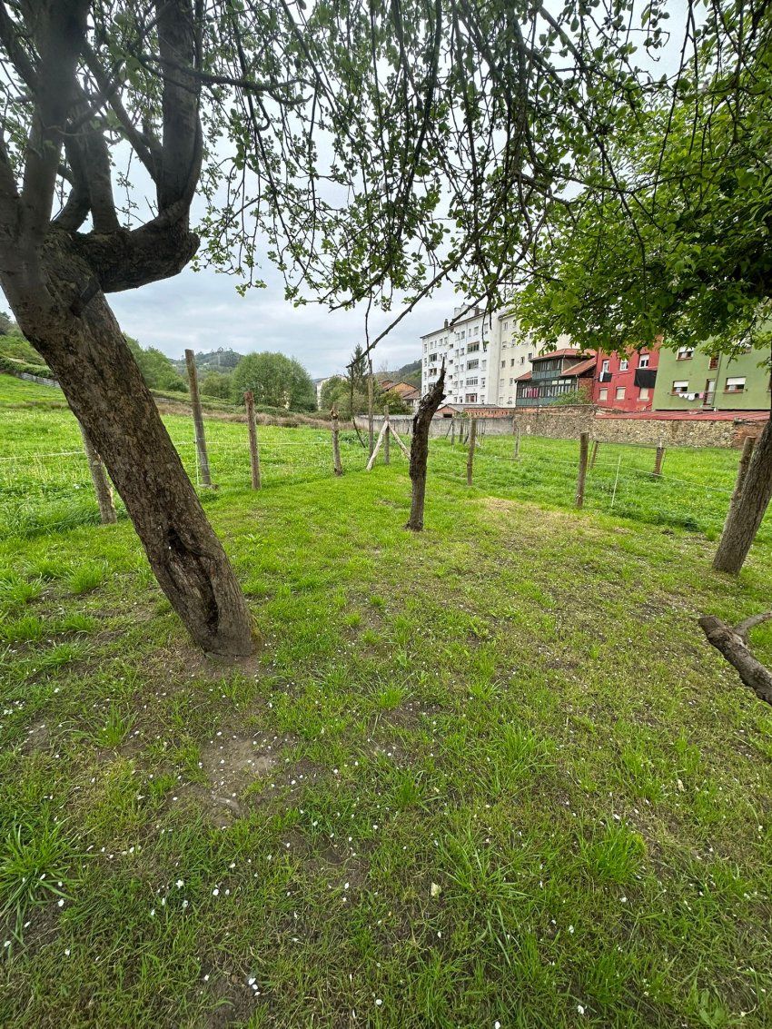 5e33a7f0 df79 462b a78d eb2ee158d2a3