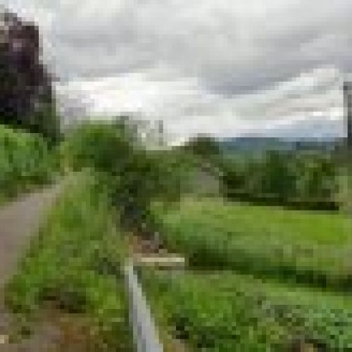 Finca edificable en Lada   Llindión