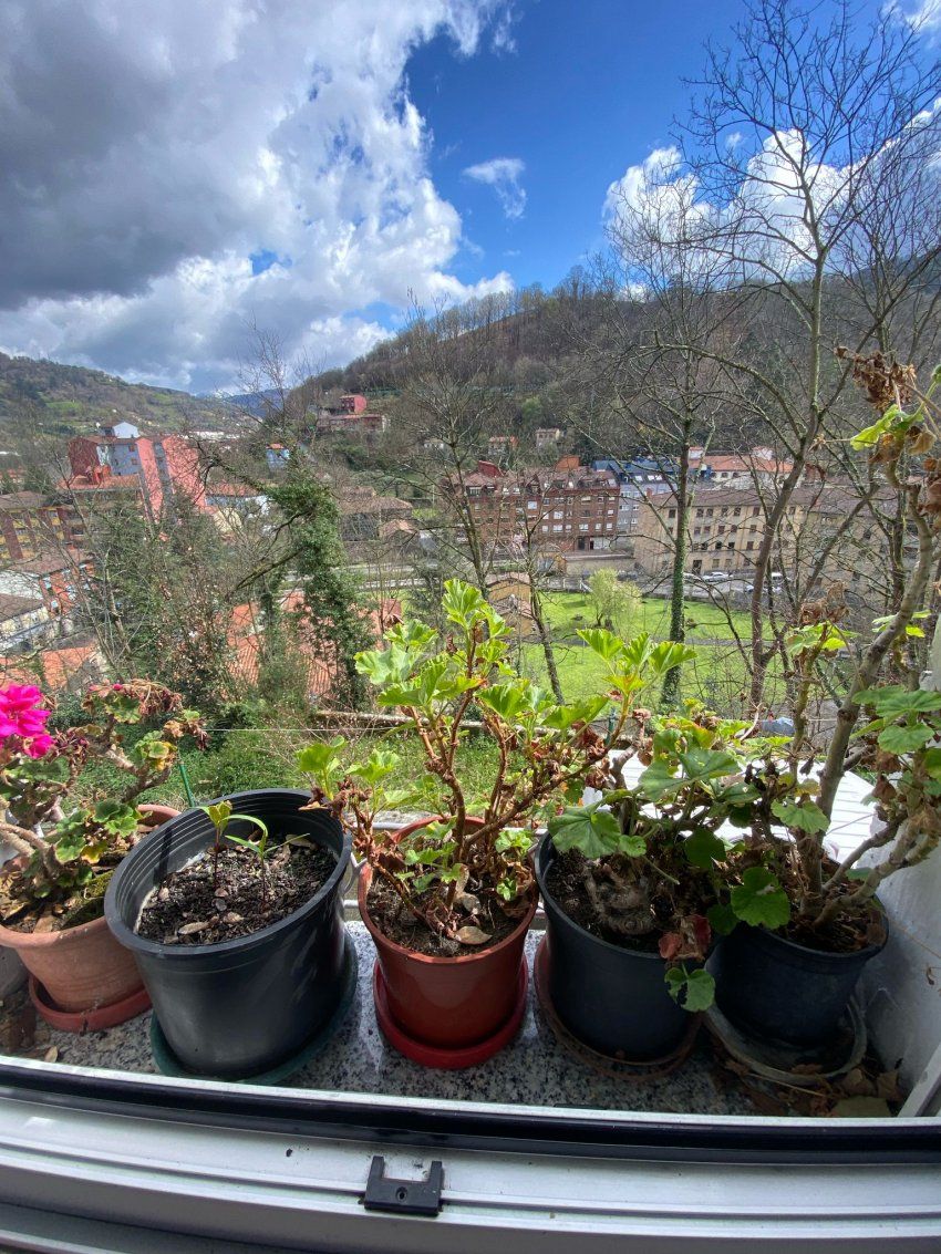 0b61a276 0655 48fe bb5c e7a8aa3631bc