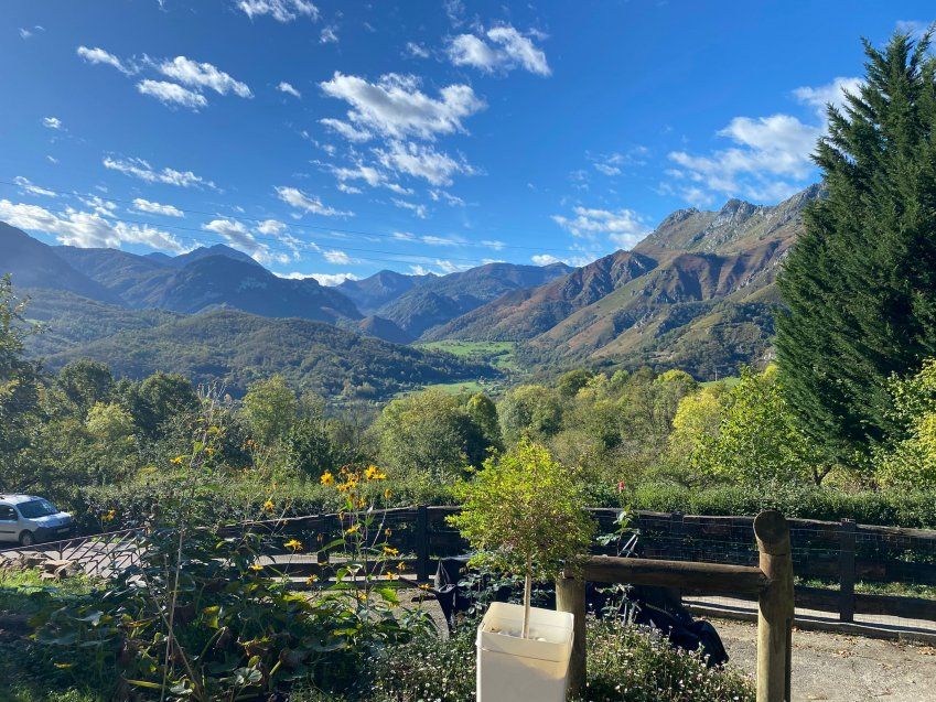 6beec374 7b18 40a8 b574 55aafac4f3e7