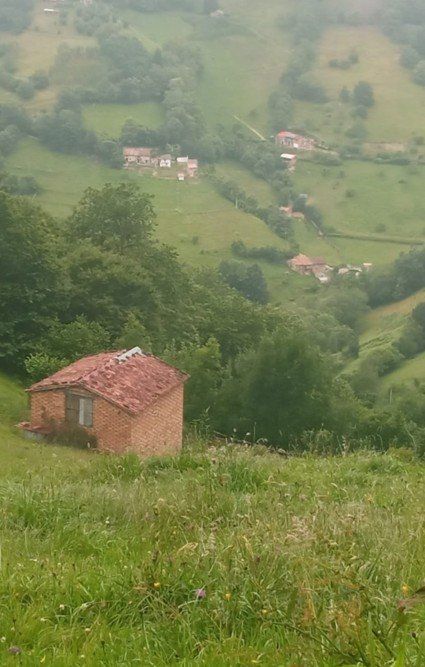 634f38ed be65 4cee 9578 6c4a9f4ce134