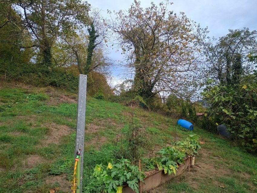 361e2ac8 88f6 478a aac0 c257e31dd295