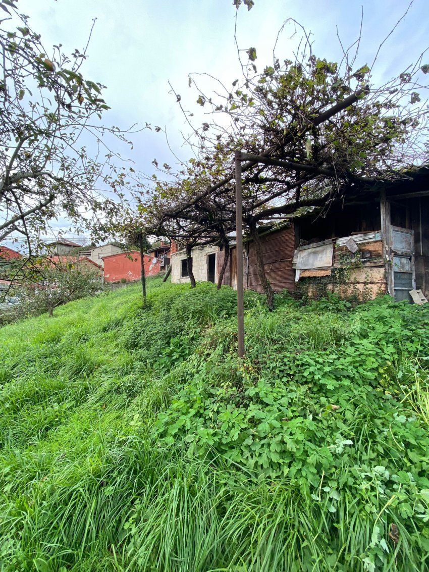 cc65b5bb 1176 4160 a4ae 6287834157e1