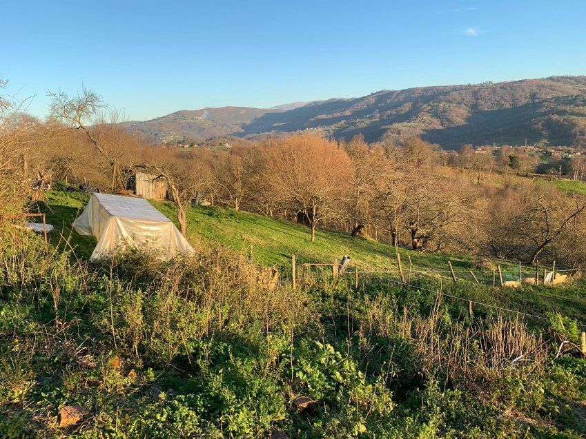 Casa con finca   Campo La Carrera