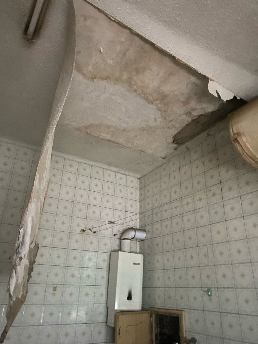 9ffcc1cc a961 40fa a5f1 7c356a9a899b