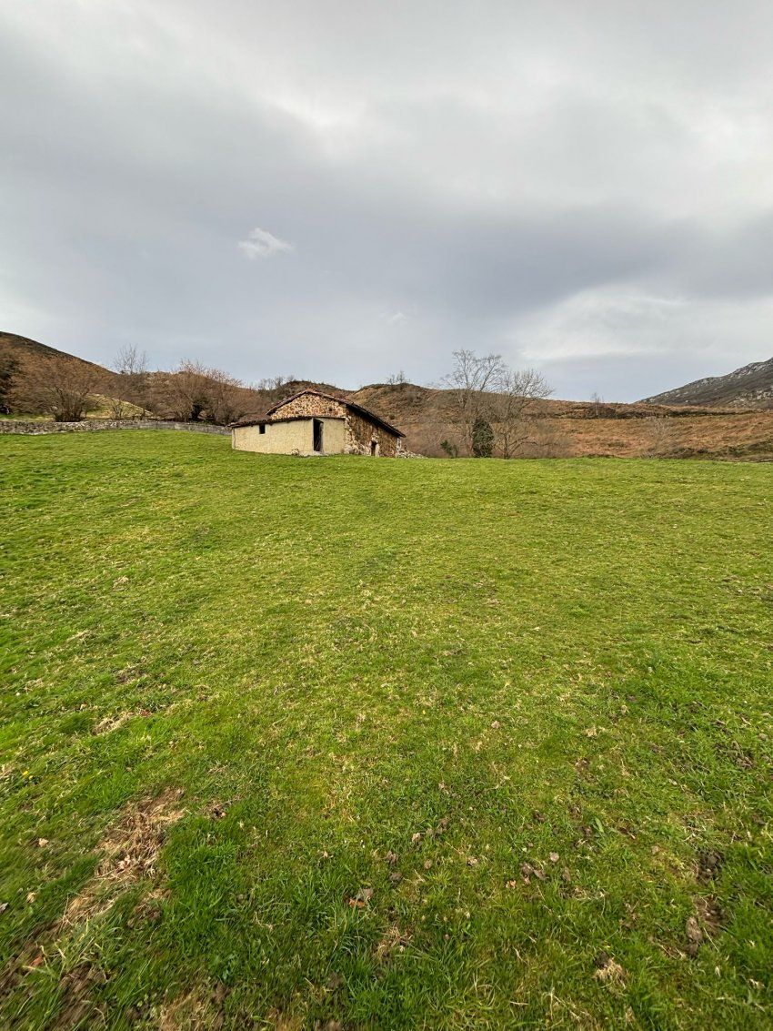 22e12a45 8797 49f8 bc7b 03aa31236885