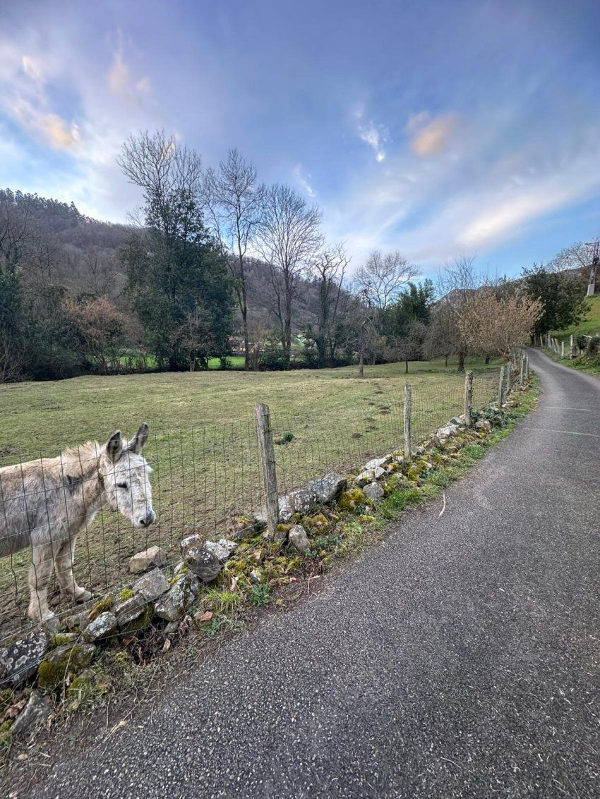 7d09347a fc16 4ee7 af3a e549d9e9b9af