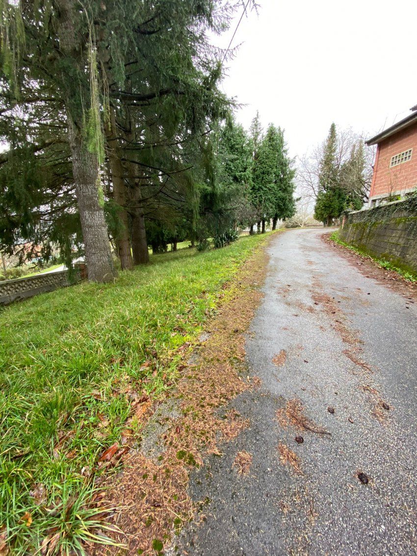 1983cb5f 35fe 4ef1 ae62 2894aee52743