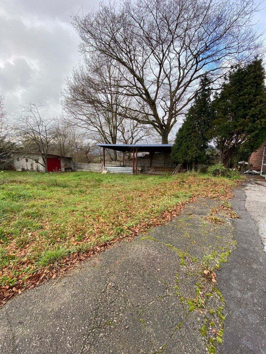 0db5d043 8367 4865 89c2 934fdc145a1a