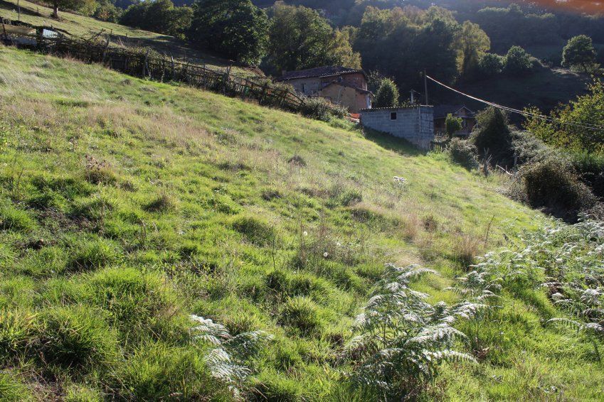 Finca edificable El Entrego   Otariello