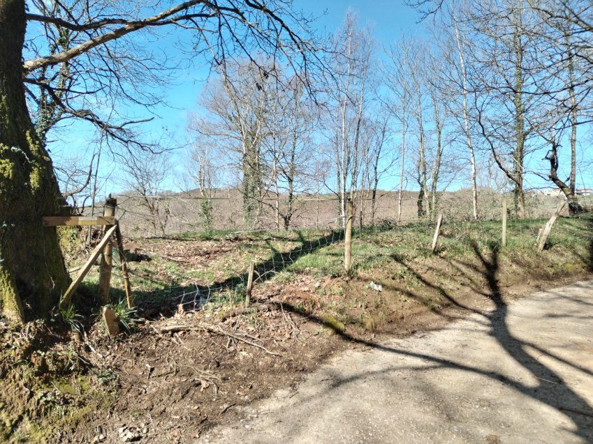 thumbnail img 20240306 114011