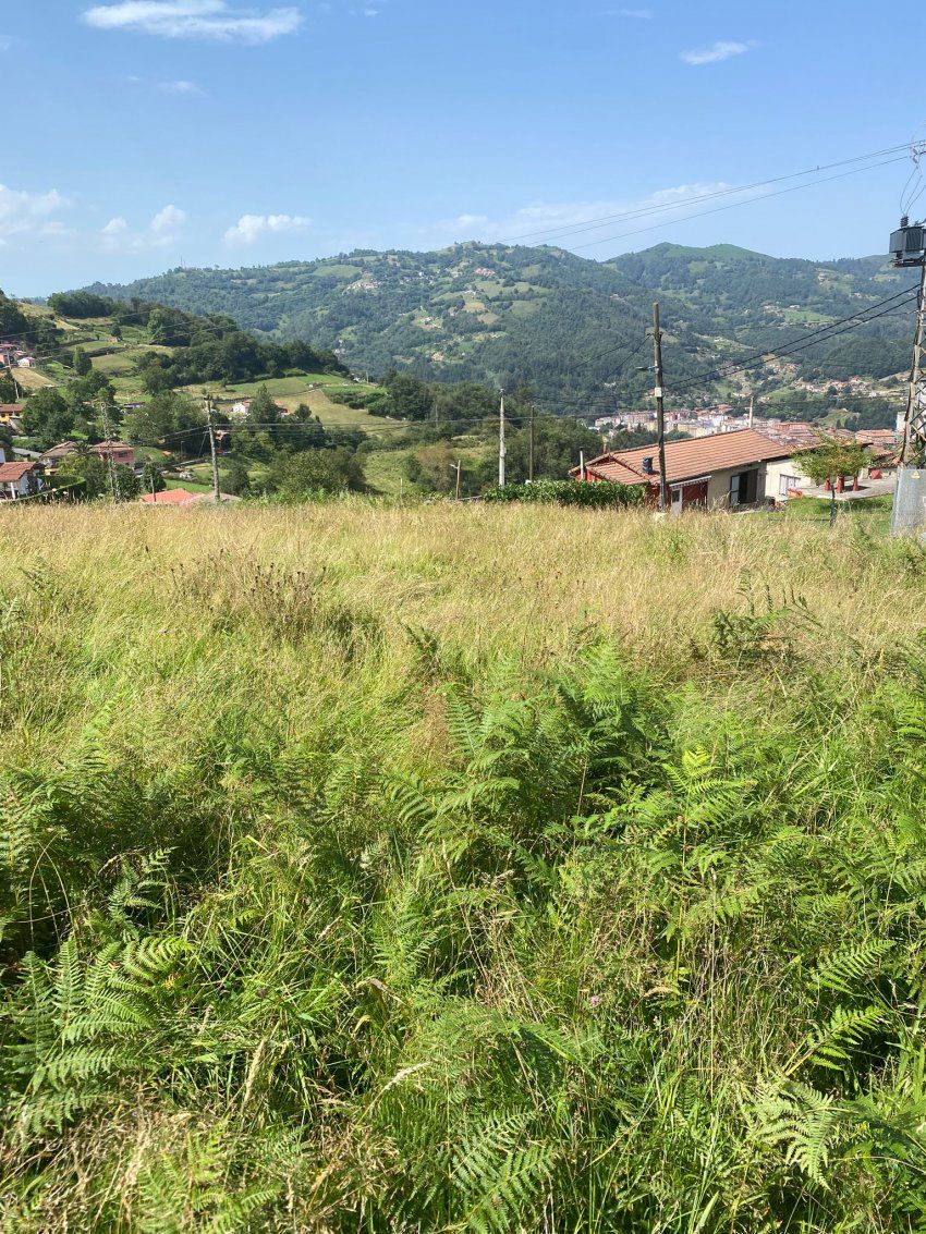 22c4838a f286 4fc2 b59a 8a02f8f3f3a0