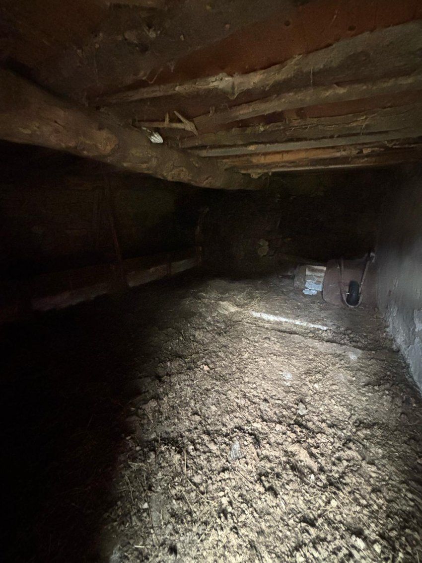 6d0c5f9c 0580 49d8 98fe 47b69a0d6c07