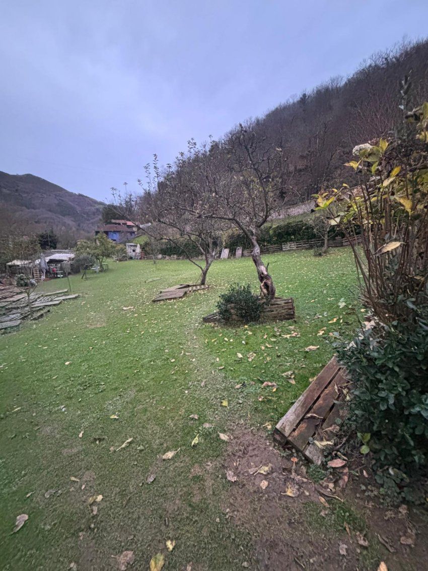 2da87b25 6be2 4e99 97c8 4303e6dbf243