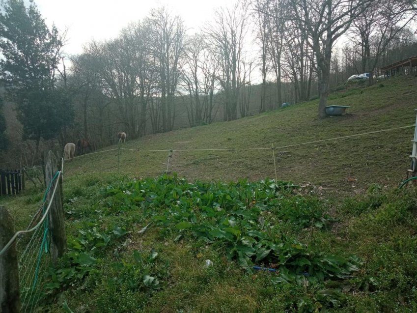 Finca edificable en Les Bories   Langreo