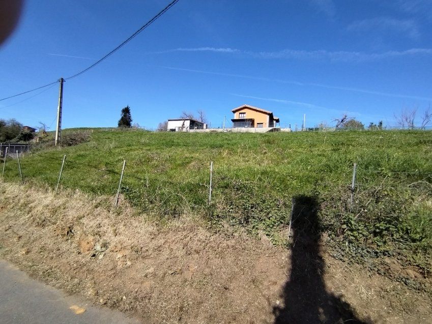 thumbnail img 20240306 121724