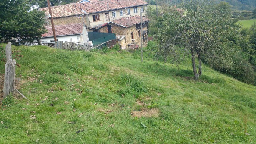 Casa a reformar en Langreo con terreno