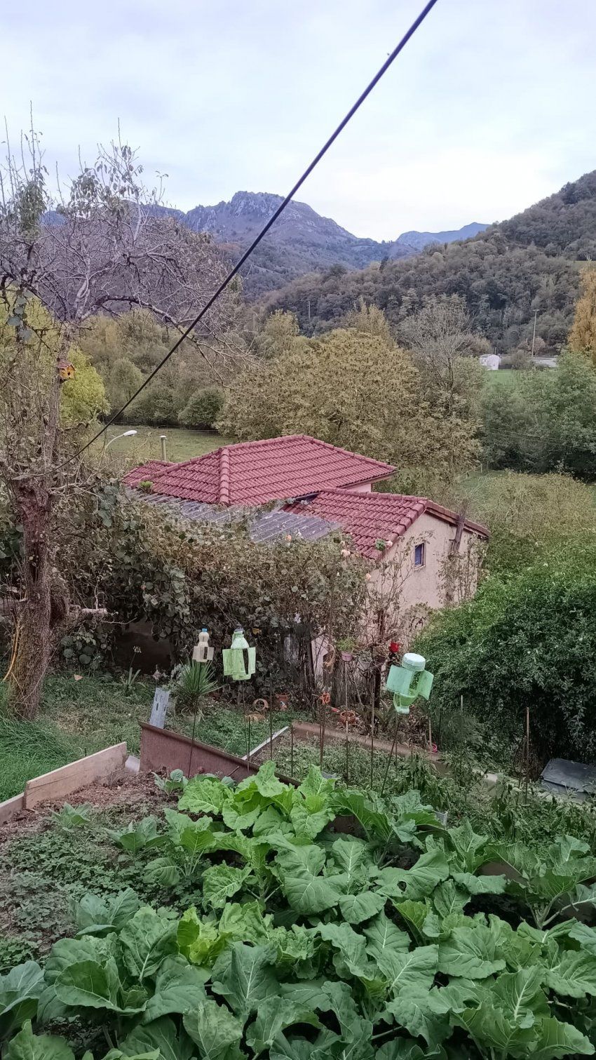 443b7a81 354b 48cf bb7f 4f5eb0df4cb7