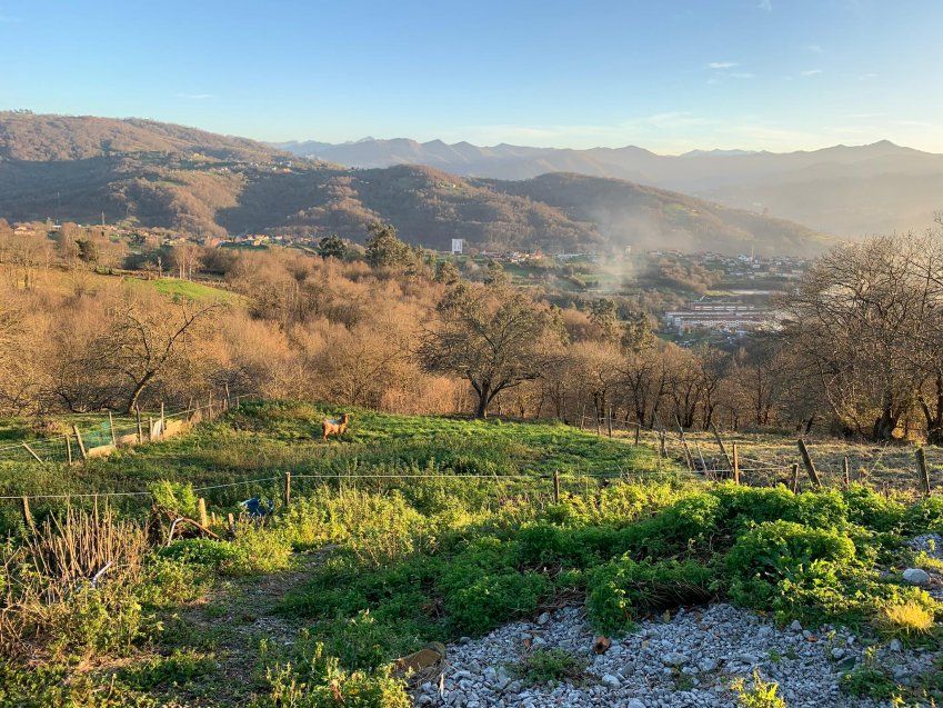 Casa con finca   Campo La Carrera