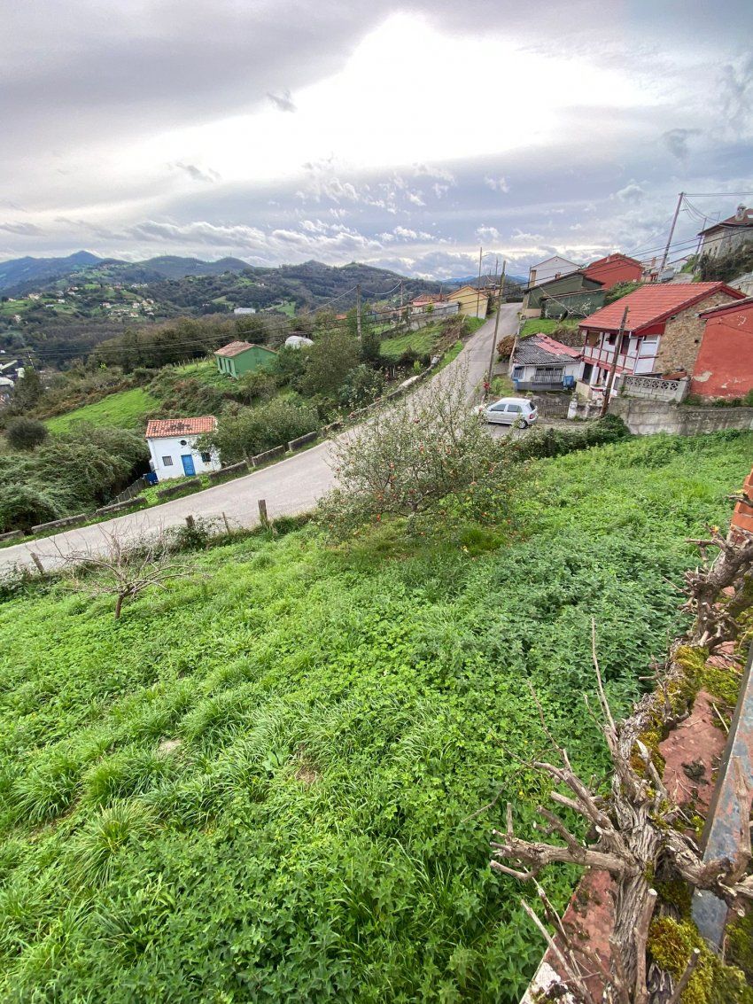 fa220dae bcf0 4b52 9e7e e9fb16e8da07