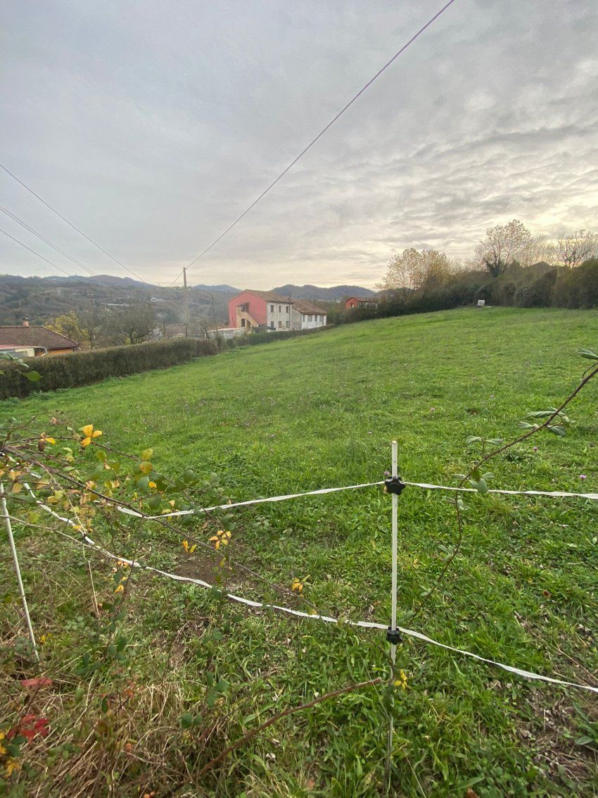 Finca edificable en Lada   La Piezona
