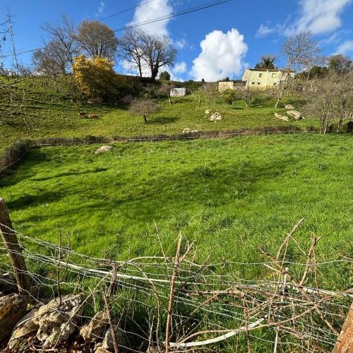 e321bf4b f1d3 4b8b a19b 41dbb6f5da52