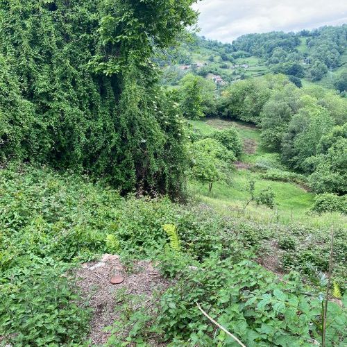 Casa independiente con terreno   A reformar