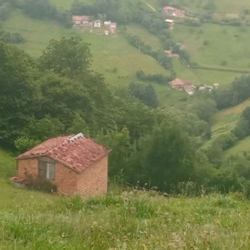 634f38ed be65 4cee 9578 6c4a9f4ce134