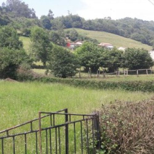 37e53815 ce40 41db 9967 c64a2f44adb1