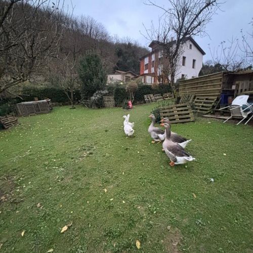 bd09cc68 d9d9 4ce8 8676 632f42e192f4