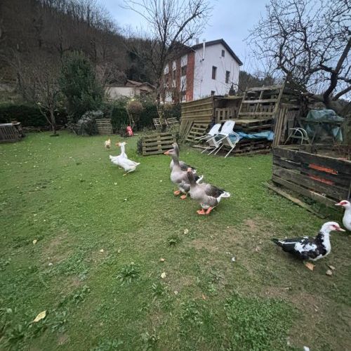 a1285656 fe05 4a8f 8f85 819f78a5d4ec