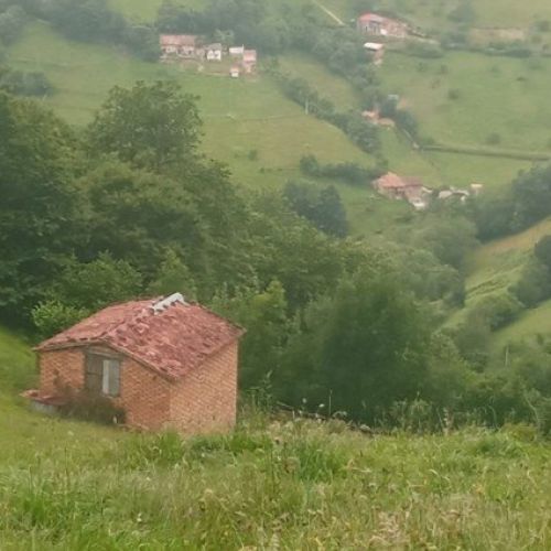 634f38ed be65 4cee 9578 6c4a9f4ce134