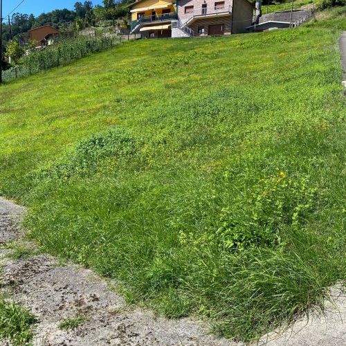 Finca edificable en El Entrego