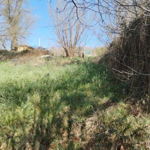 thumbnail img 20240306 110822