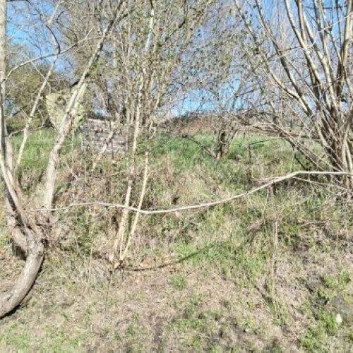 thumbnail img 20240306 110947