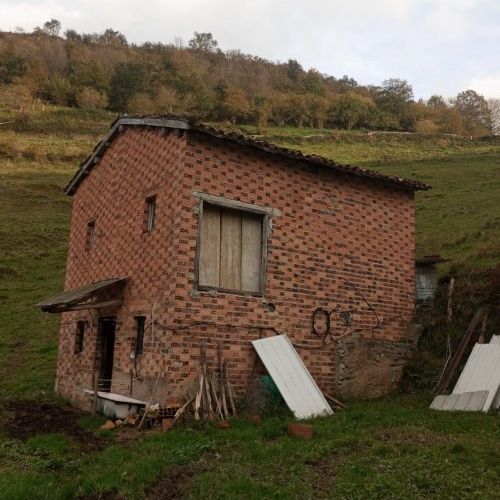 5e071ff5 c4fb 4456 b4fb 9e34a76d8adc