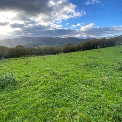 3dcb1a1e a748 49db bbf4 2943f715c99f