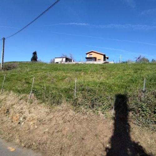 thumbnail img 20240306 121724