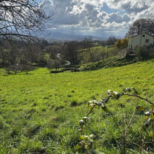 8a4a0c4e eeb5 411e a959 2f80efeea259