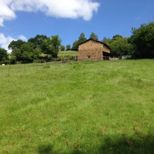 Gran parcela urbanizable   El Entrego